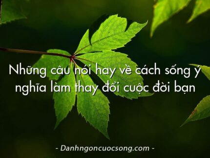 Những câu nói hay về cách sống ý nghĩa làm thay đổi cuộc đời bạn