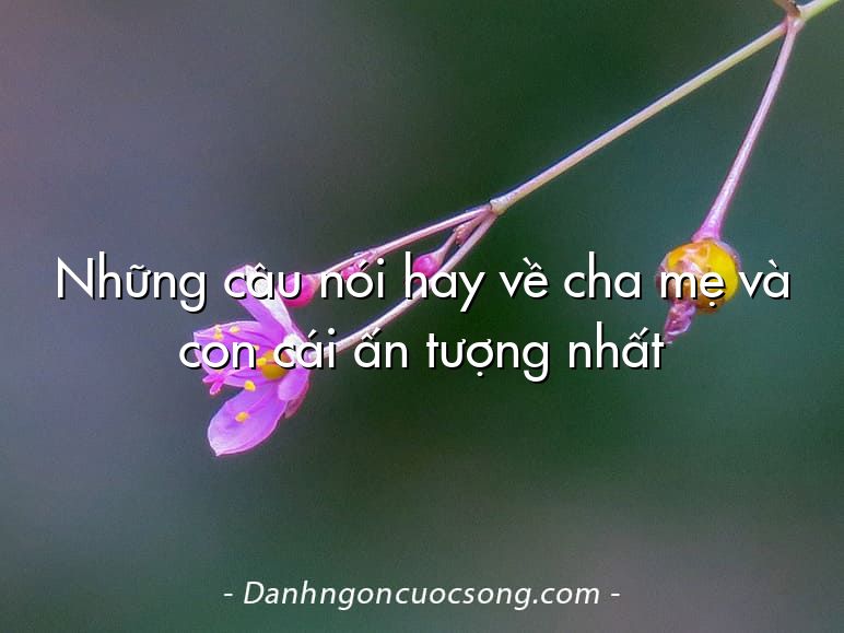 Những câu nói hay về cha mẹ và con cái ấn tượng nhất
