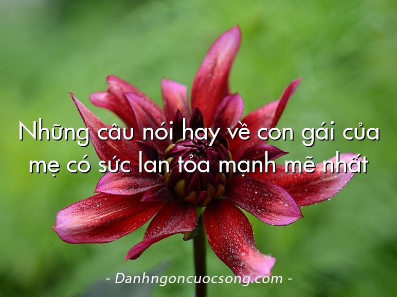 Những câu nói hay về con gái của mẹ có sức lan tỏa mạnh mẽ nhất