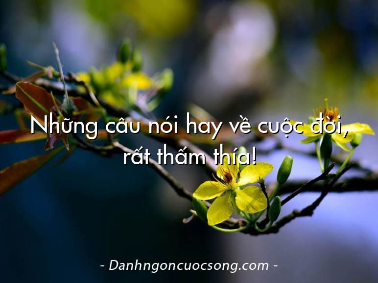 Những câu nói hay về cuộc đời, rất thấm thía!