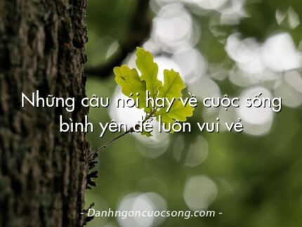 Những câu nói hay về cuộc sống bình yên để luôn vui vẻ