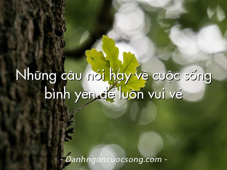 Những câu nói hay về cuộc sống bình yên để luôn vui vẻ