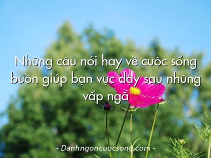 Những câu nói hay về cuộc sống buồn giúp bạn vực dậy sau những vấp ngã