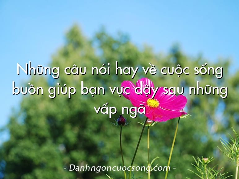 Những câu nói hay về cuộc sống buồn giúp bạn vực dậy sau những vấp ngã