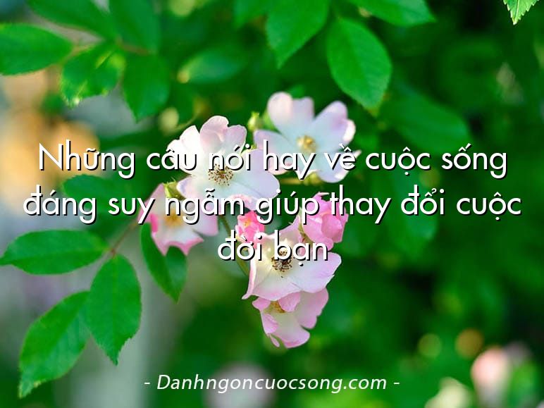Những câu nói hay về cuộc sống đáng suy ngẫm giúp thay đổi cuộc đời bạn