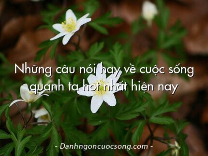 Những câu nói hay về cuộc sống quanh ta hot nhất hiện nay