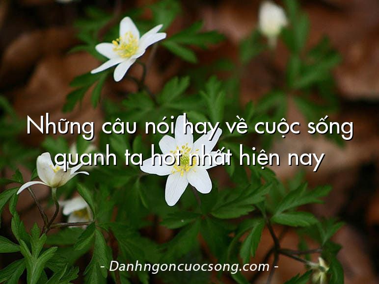 Những câu nói hay về cuộc sống quanh ta hot nhất hiện nay