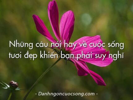Những câu nói hay về cuộc sống tươi đẹp khiến bạn phải suy nghĩ