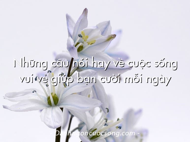 Những câu nói hay về cuộc sống vui vẻ giúp bạn cười mỗi ngày