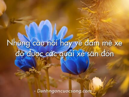 Những câu nói hay về đam mê xe độ được các quái xế săn đón