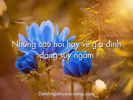 Những câu nói hay về gia đình đáng suy ngẫm