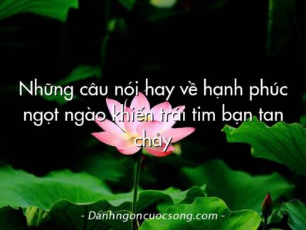 Những câu nói hay về hạnh phúc ngọt ngào khiến trái tim bạn tan chảy