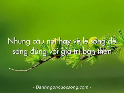 Những câu nói hay về lẽ sống để sống đúng với giá trị bản thân