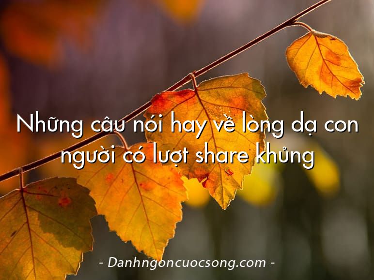 Những câu nói hay về lòng dạ con người có lượt share khủng