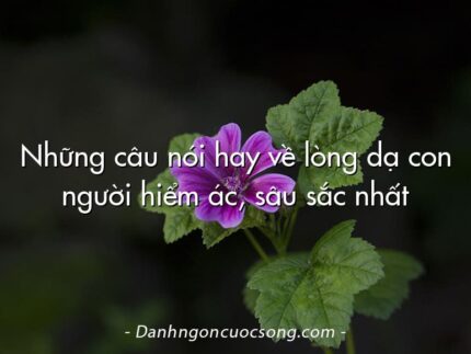 Những câu nói hay về lòng dạ con người hiểm ác, sâu sắc nhất