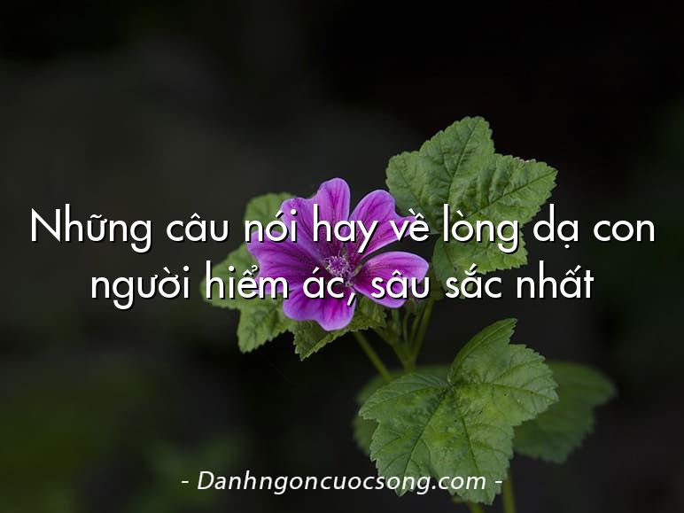 Những câu nói hay về lòng dạ con người hiểm ác, sâu sắc nhất