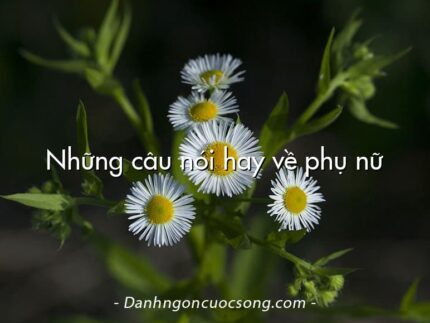 Những câu nói hay về phụ nữ