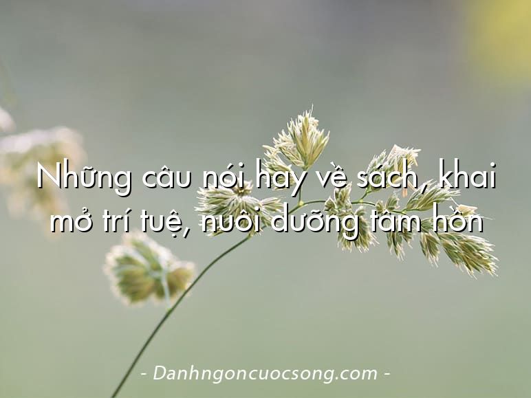 Những câu nói hay về sách, khai mở trí tuệ, nuôi dưỡng tâm hồn
