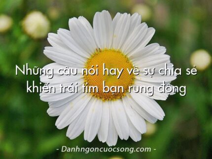 Những câu nói hay về sự chia sẻ khiến trái tim bạn rung động