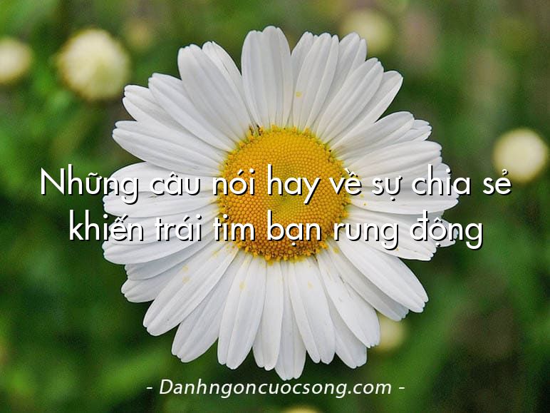 Những câu nói hay về sự chia sẻ khiến trái tim bạn rung động