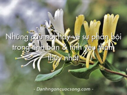 Những câu nói hay về sự phản bội trong tình bạn & tình yêu thâm thúy nhất
