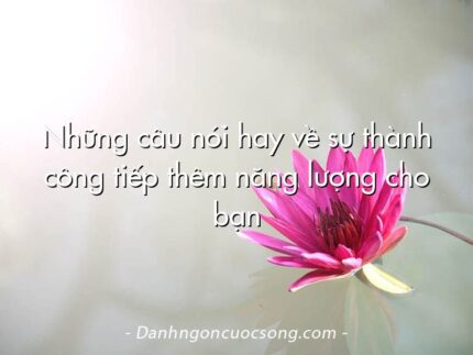 Những câu nói hay về sự thành công tiếp thêm năng lượng cho bạn