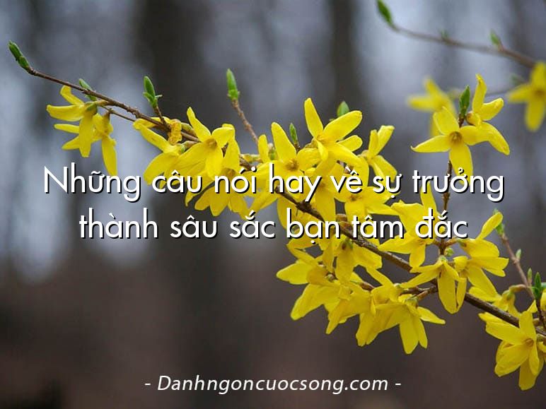 Những câu nói hay về sự trưởng thành sâu sắc bạn tâm đắc