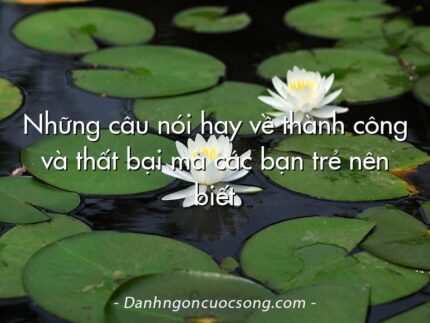 Những câu nói hay về thành công và thất bại mà các bạn trẻ nên biết