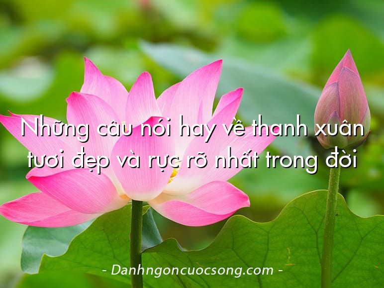 Những câu nói hay về thanh xuân tươi đẹp và rực rỡ nhất trong đời