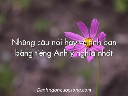 Những câu nói hay về tình bạn bằng tiếng Anh ý nghĩa nhất