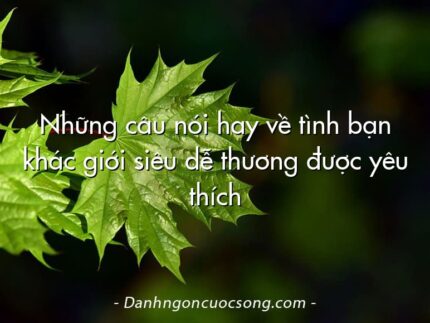 Những câu nói hay về tình bạn khác giới siêu dễ thương được yêu thích