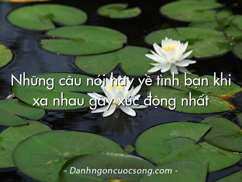 Những câu nói hay về tình bạn khi xa nhau gây xúc động nhất