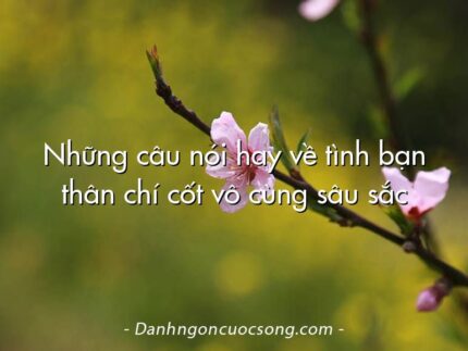 Những câu nói hay về tình bạn thân chí cốt vô cùng sâu sắc