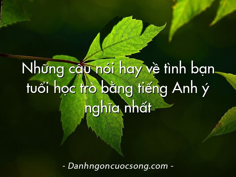 Những câu nói hay về tình bạn tuổi học trò bằng tiếng Anh ý nghĩa nhất