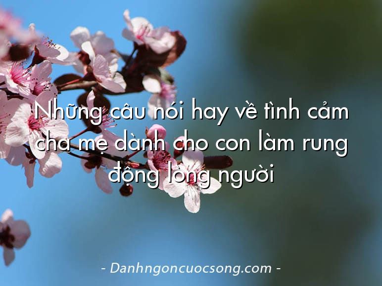 Những câu nói hay về tình cảm cha mẹ dành cho con làm rung động lòng người