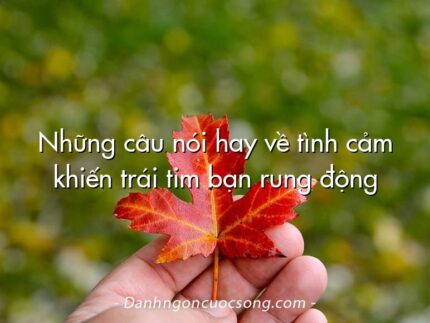Những câu nói hay về tình cảm khiến trái tim bạn rung động