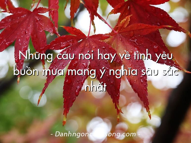Những câu nói hay về tình yêu buồn mưa mang ý nghĩa sâu sắc nhất