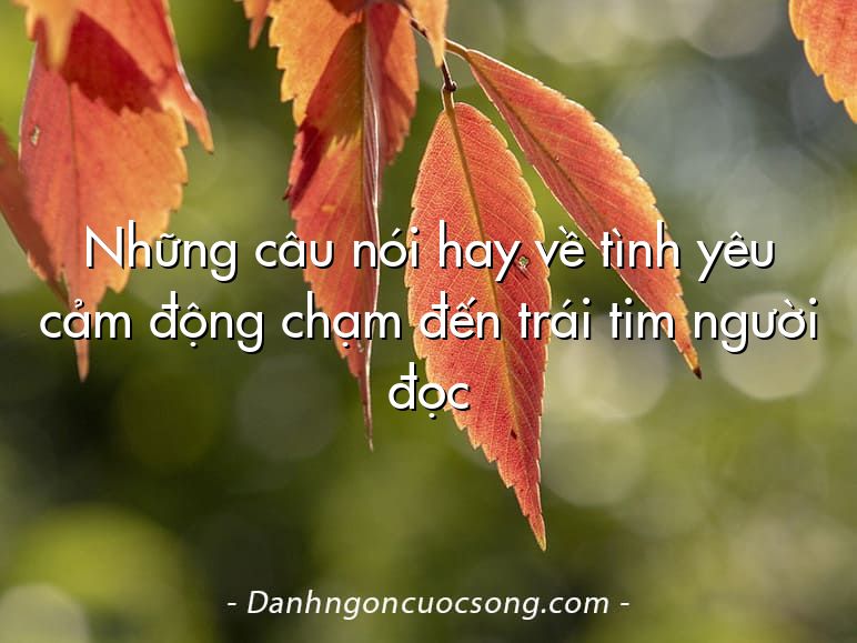 Những câu nói hay về tình yêu cảm động chạm đến trái tim người đọc