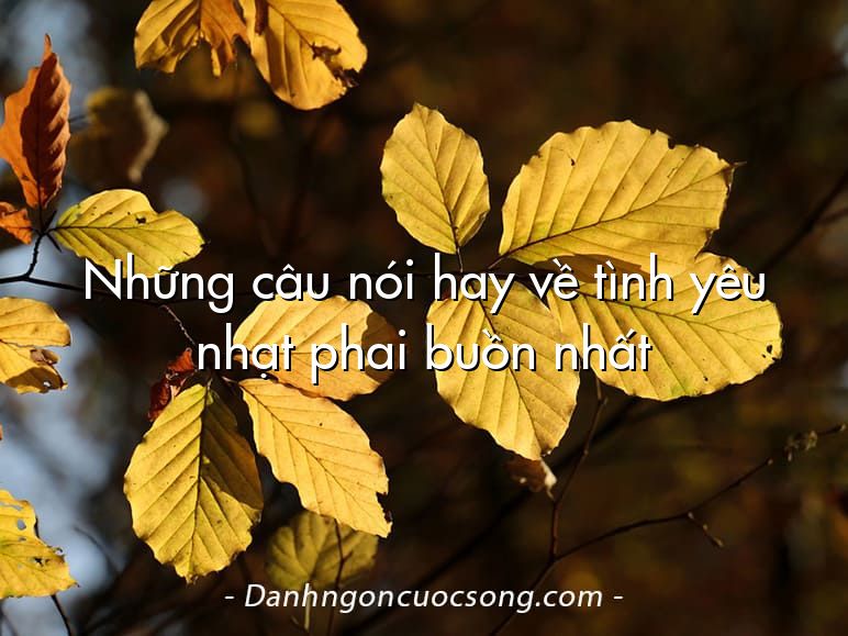Những câu nói hay về tình yêu nhạt phai buồn nhất