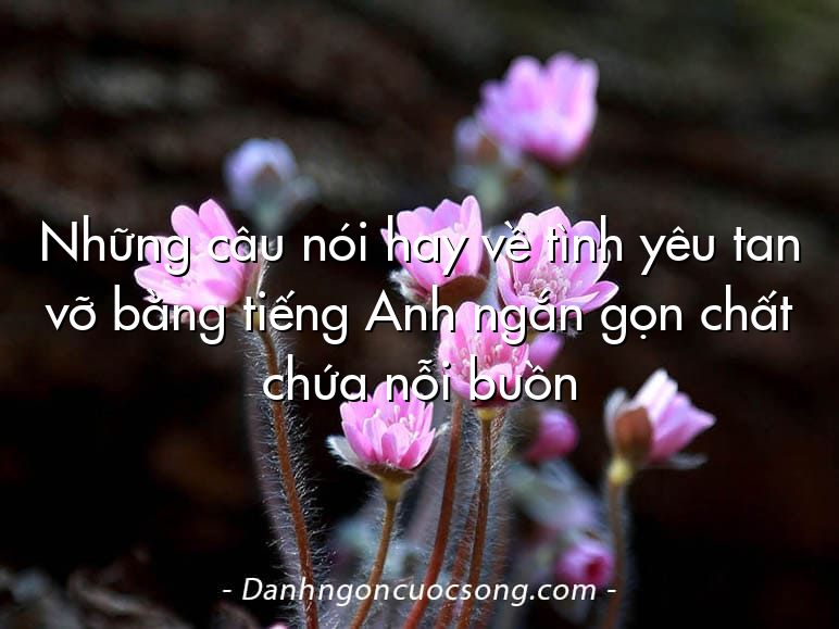 Những câu nói hay về tình yêu tan vỡ bằng tiếng Anh ngắn gọn chất chứa nỗi buồn