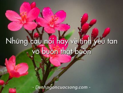 Những câu nói hay về tình yêu tan vỡ buồn thật buồn
