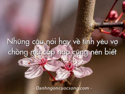 Những câu nói hay về tình yêu vợ chồng mà cặp nào cũng nên biết