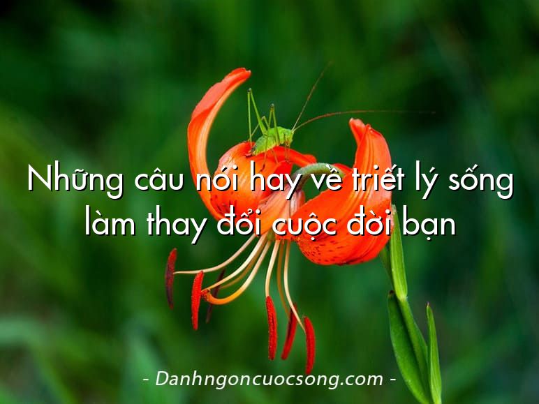 Những câu nói hay về triết lý sống làm thay đổi cuộc đời bạn