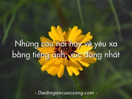 Những câu nói hay về yêu xa bằng tiếng anh, xúc động nhất