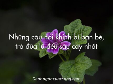 Những câu nói khinh bỉ bạn bè, trả đũa lũ đểu sâu cay nhất