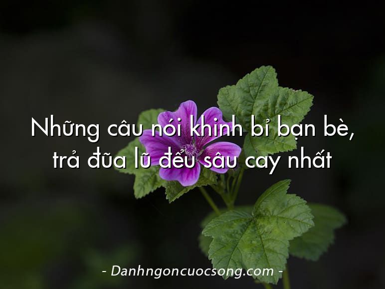 Những câu nói khinh bỉ bạn bè, trả đũa lũ đểu sâu cay nhất