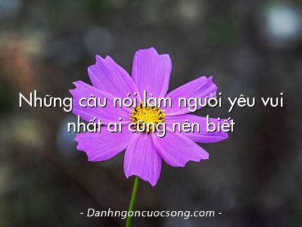 Những câu nói làm người yêu vui nhất ai cũng nên biết