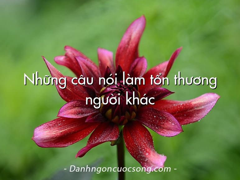 Những câu nói làm tổn thương người khác