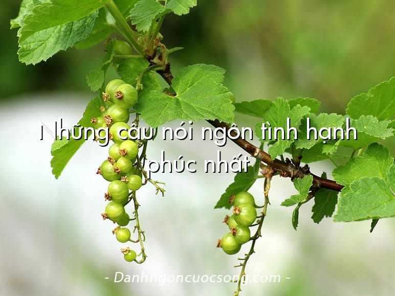 Những câu nói ngôn tình hạnh phúc nhất