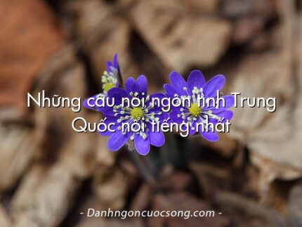 Những câu nói ngôn tình Trung Quốc nổi tiếng nhất